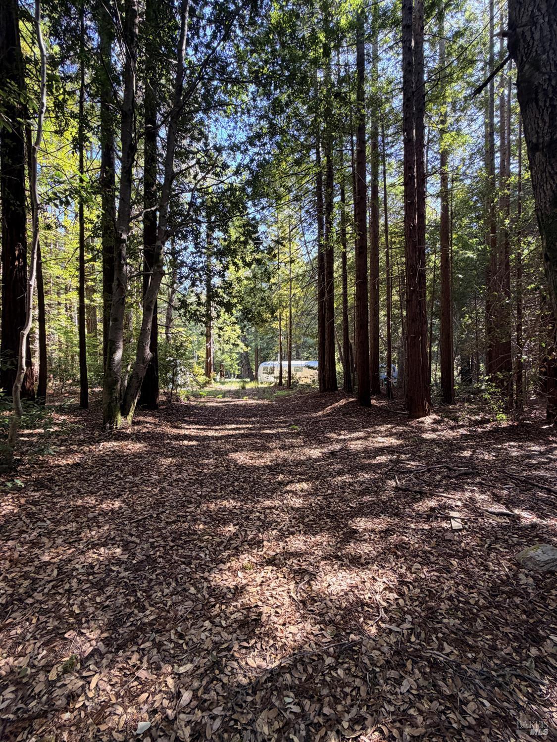 MLS #326035708 image #4