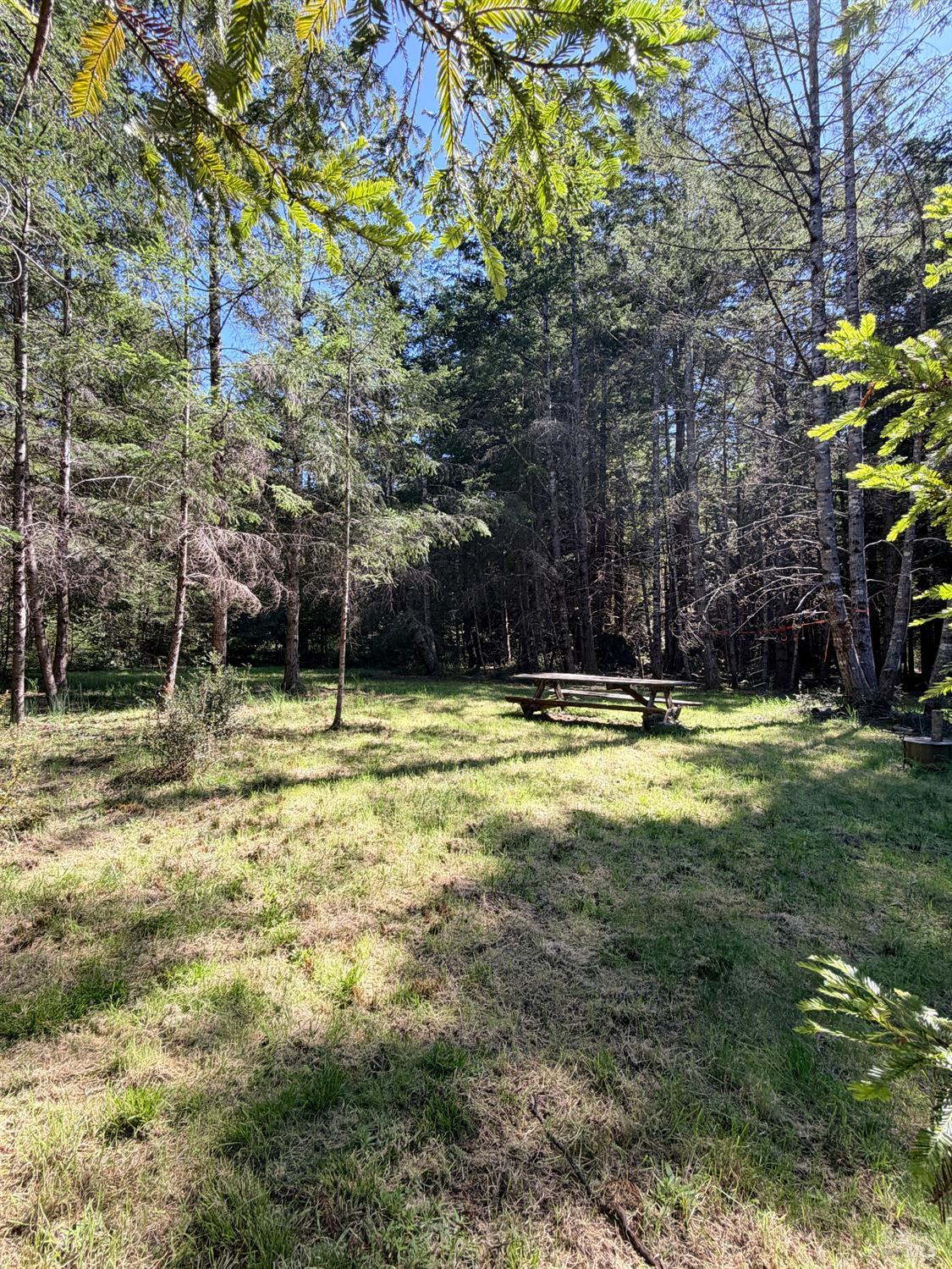 MLS #326035708 image #5