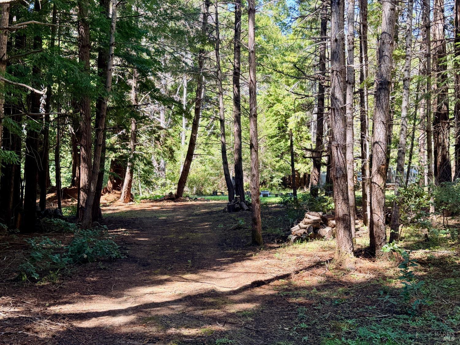 MLS #326035708 image #7