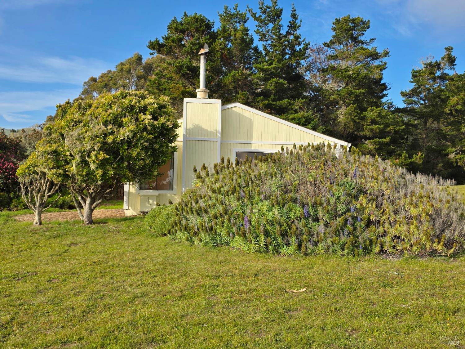 MLS #326038279 image #43
