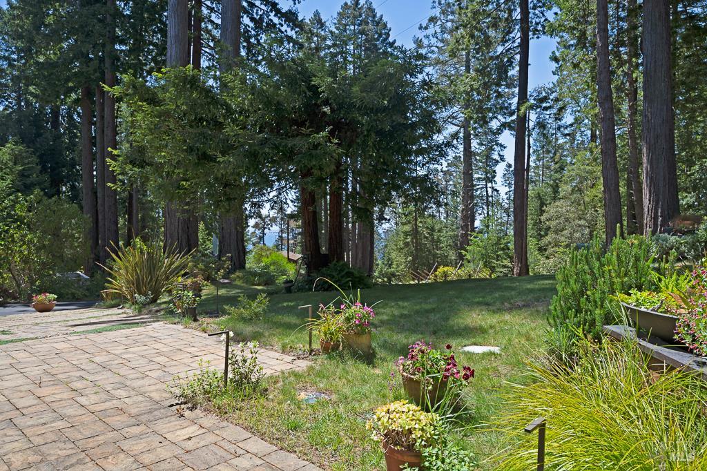 MLS #326038450 image #16