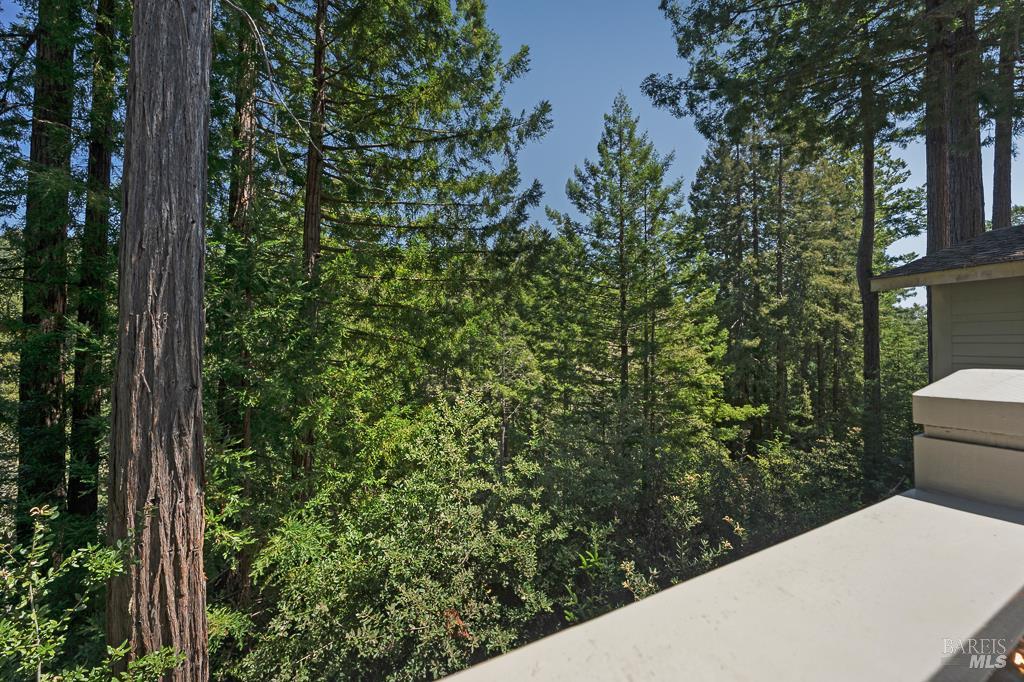 MLS #326038450 image #85