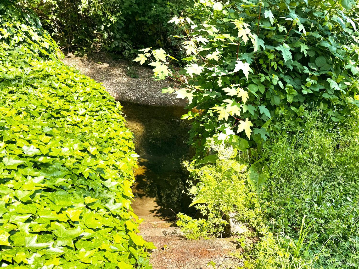 MLS #326038669 image #40