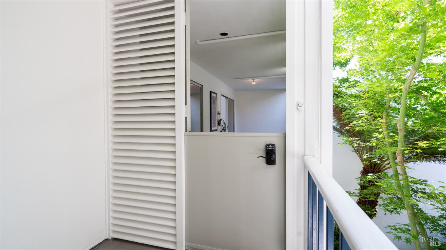 MLS #326038865 image #5