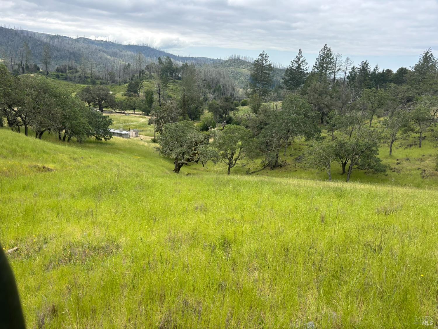 MLS #326038914 image #3