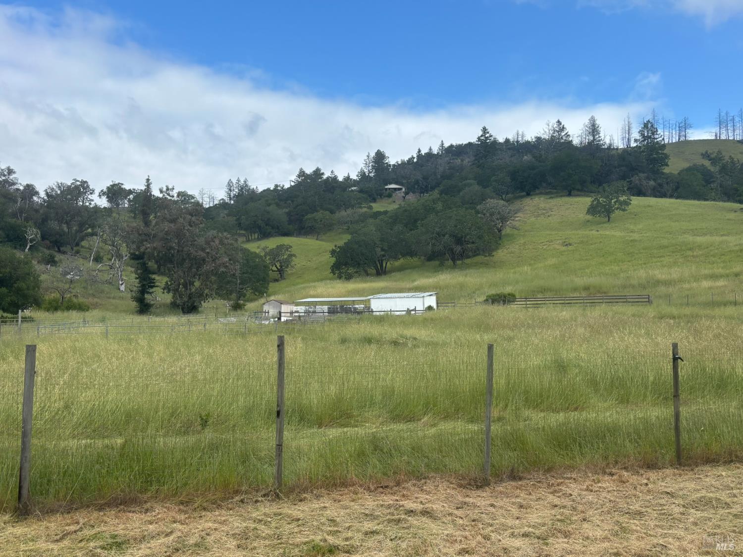 MLS #326038914 image #4