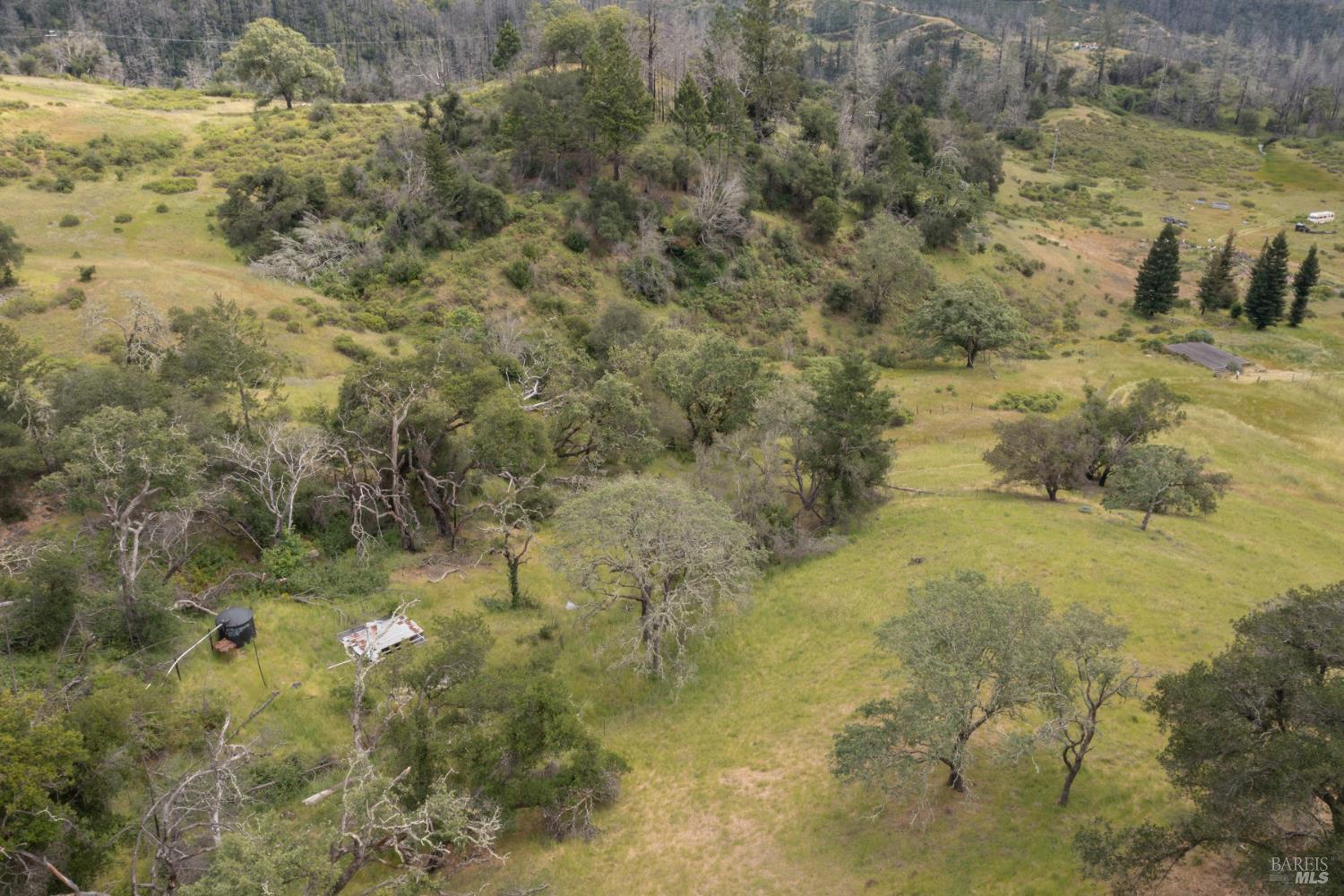 MLS #326038914 image #6