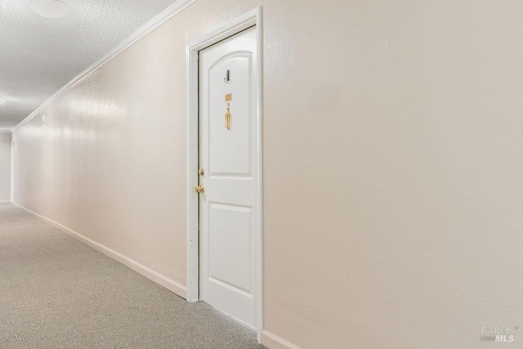 MLS #326039530 image #14