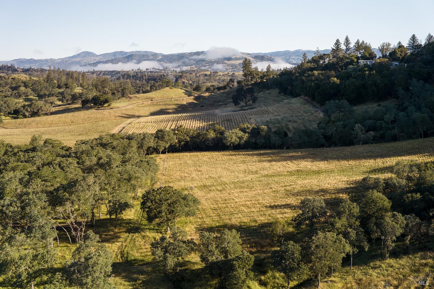 MLS #326040330 image #95