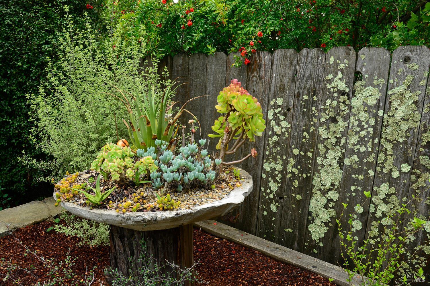 MLS #326040654 image #31