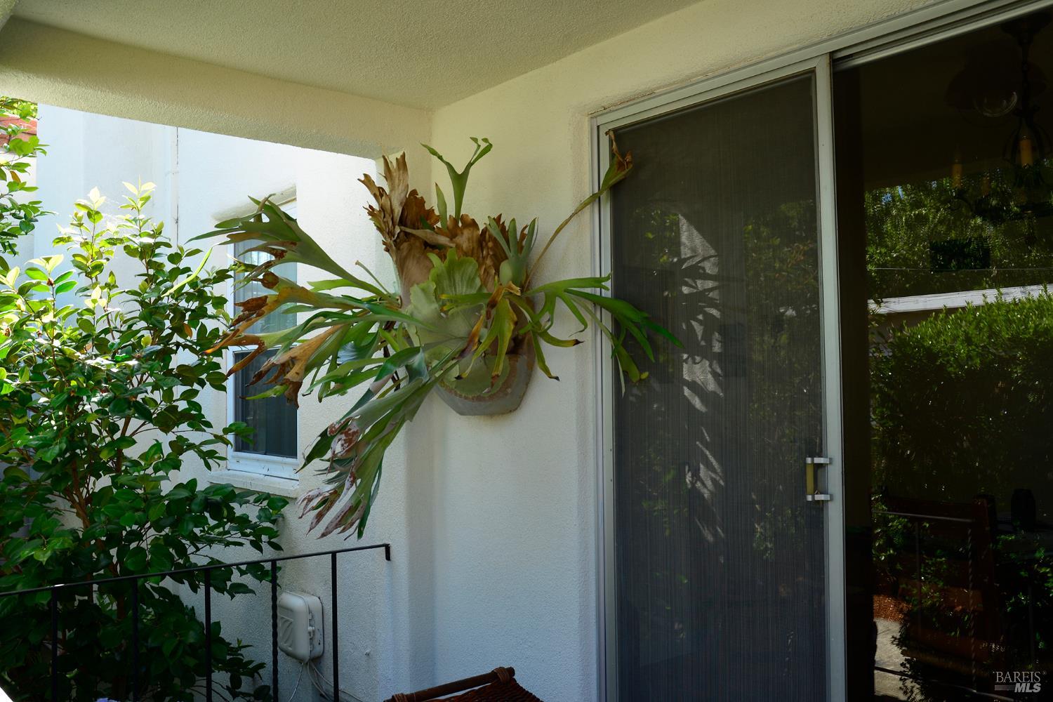 MLS #326040654 image #34