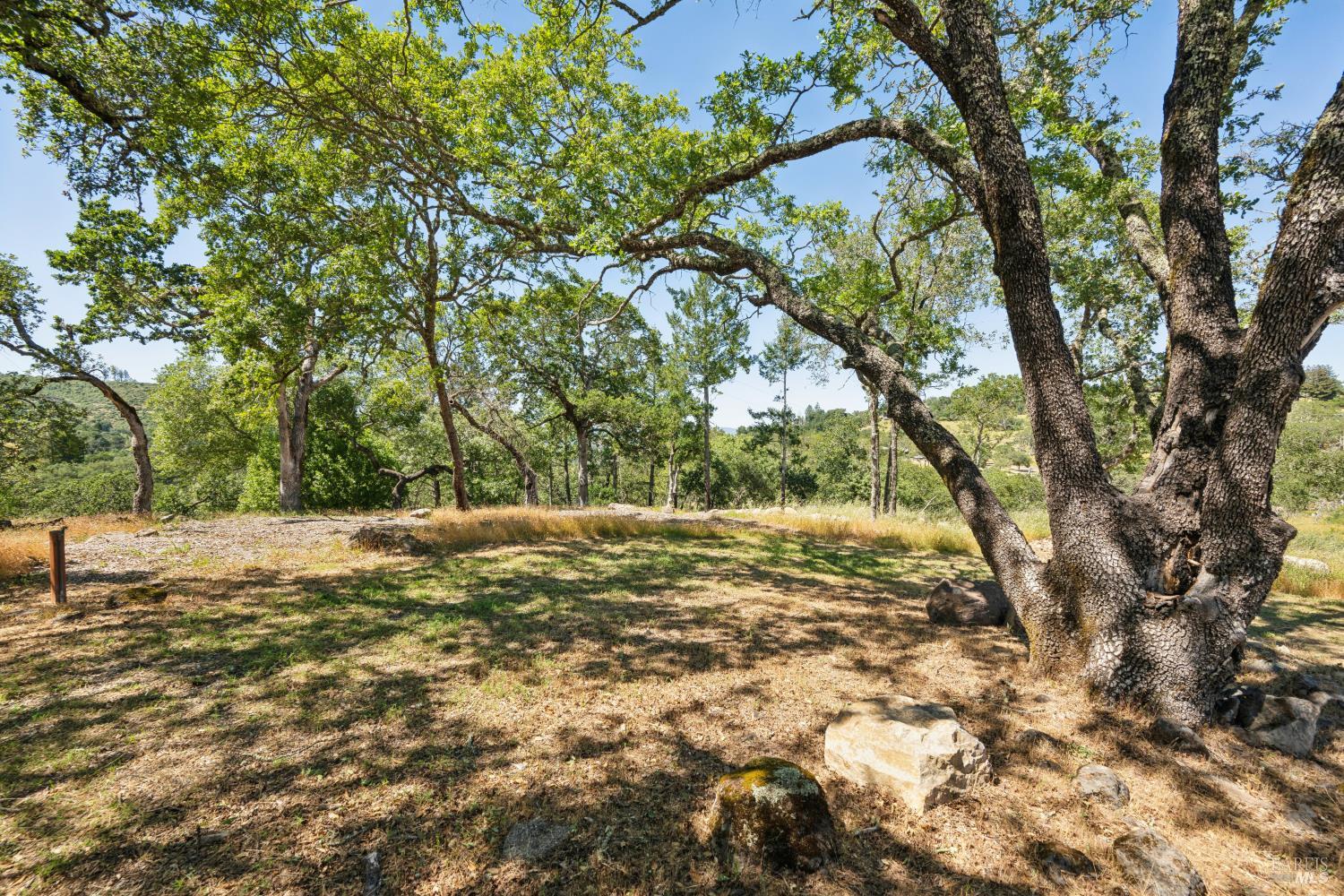 MLS #326043517 image #55