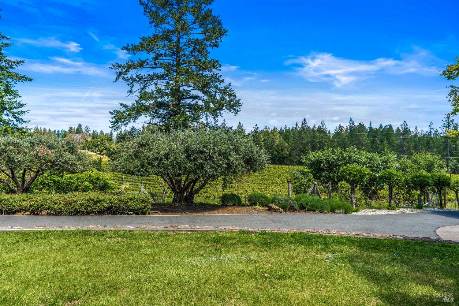 MLS #326044610 image #3