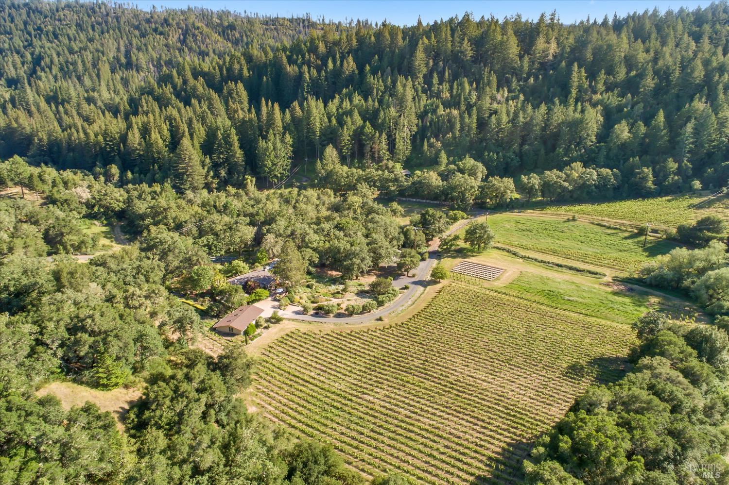 MLS #326046452 image #60