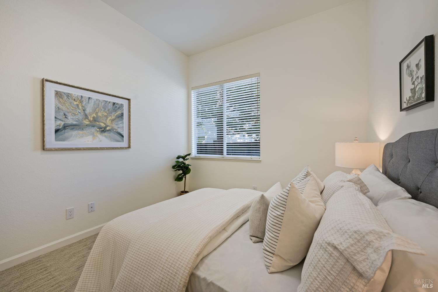 MLS #326048155 image #35