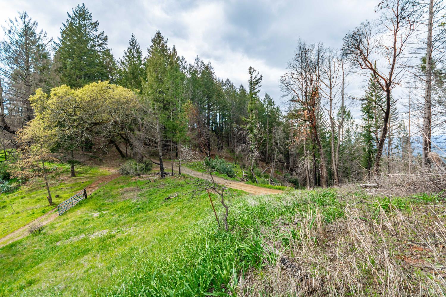 MLS #326048530 image #49