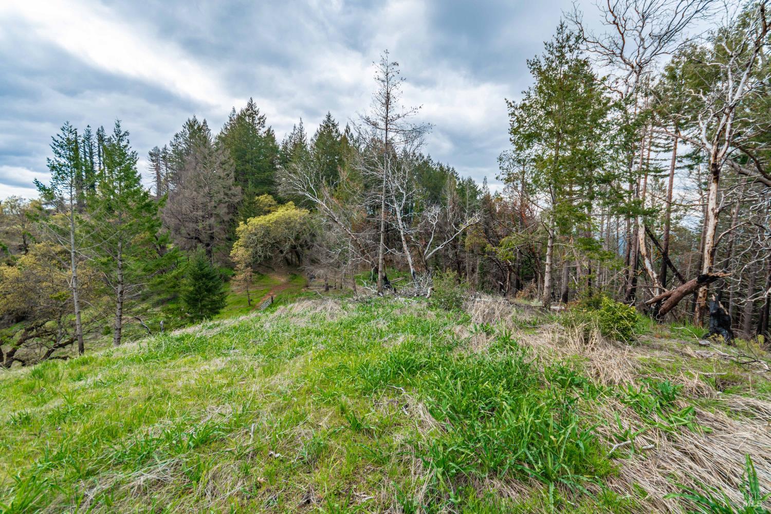 MLS #326048530 image #57
