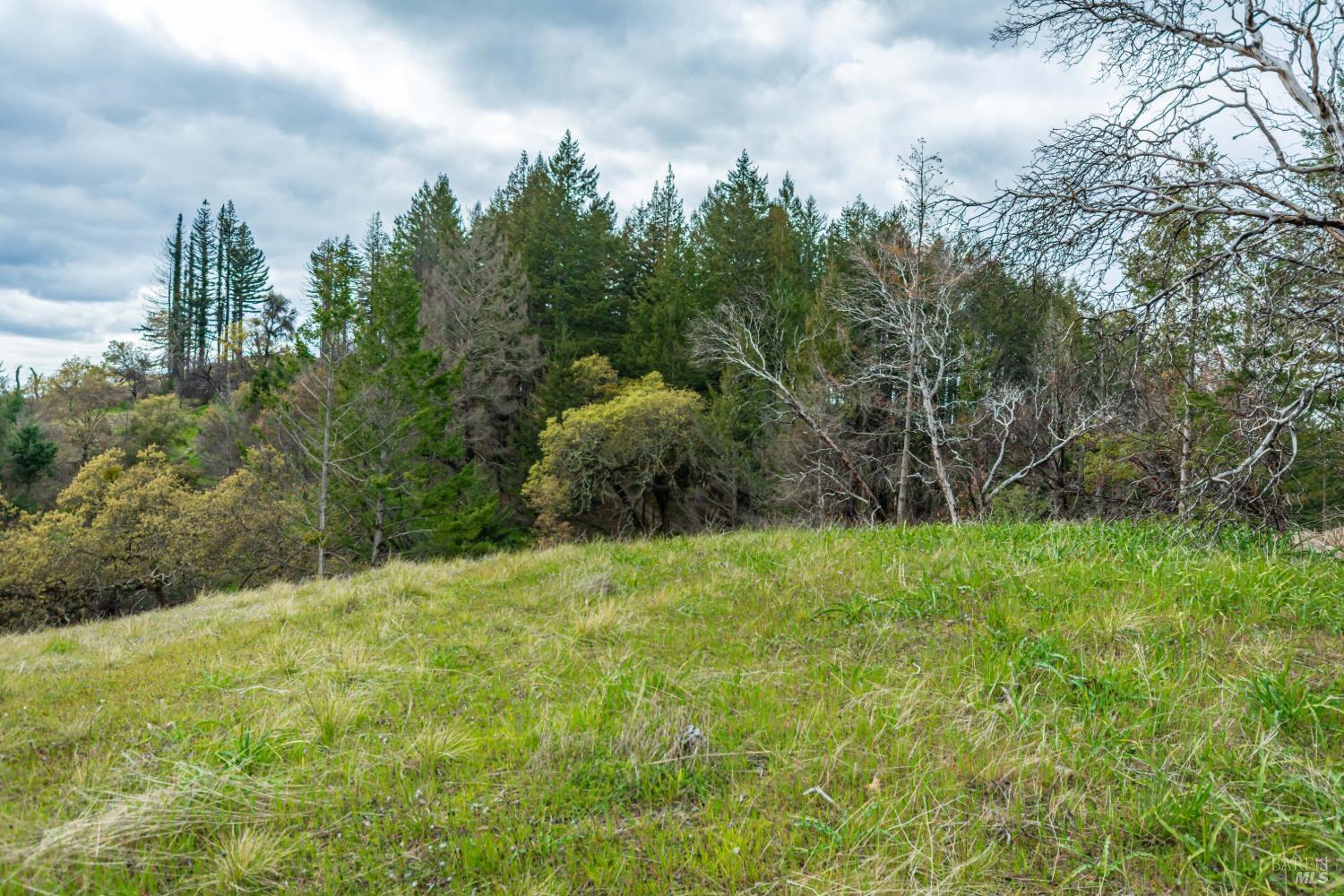 MLS #326048530 image #59