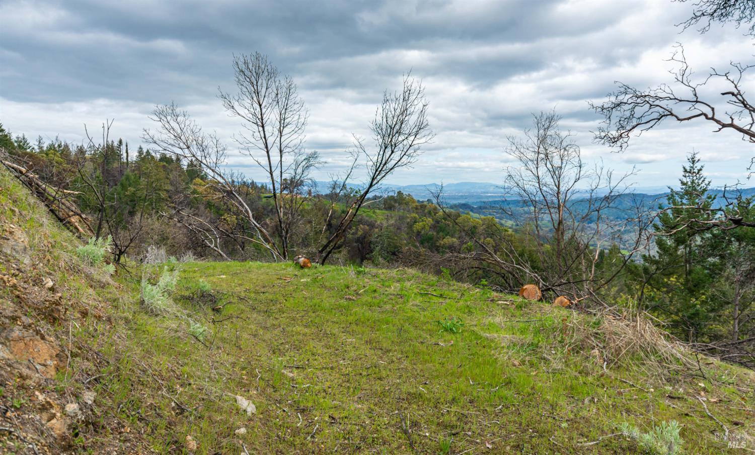 MLS #326048530 image #67