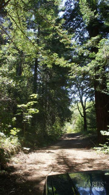MLS #326048621 image #5
