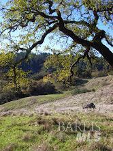 MLS #326048621 image #6
