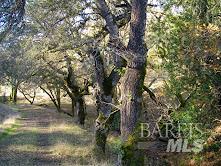 MLS #326048621 image #7