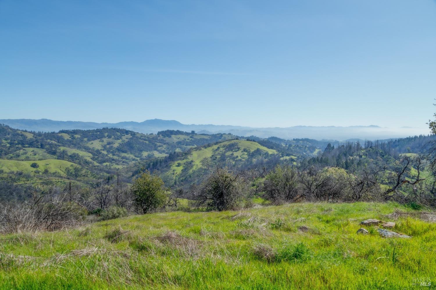 MLS #326048629 image #6