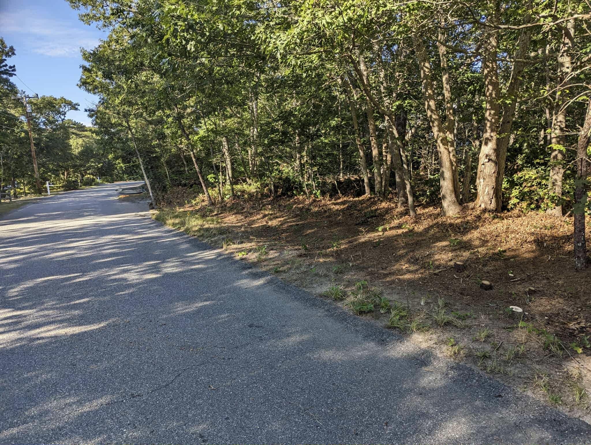 MLS #22504099 image #4