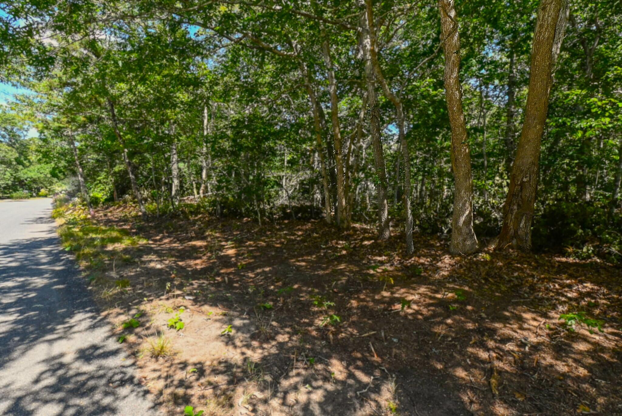 MLS #22504099 image #5