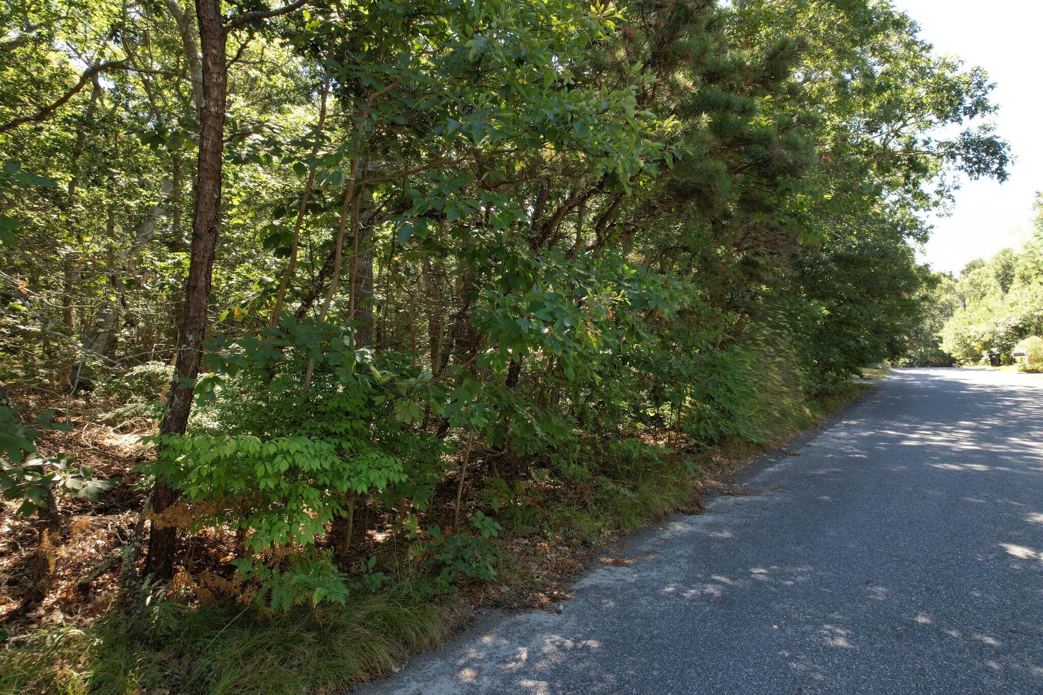 MLS #22504099 image #6