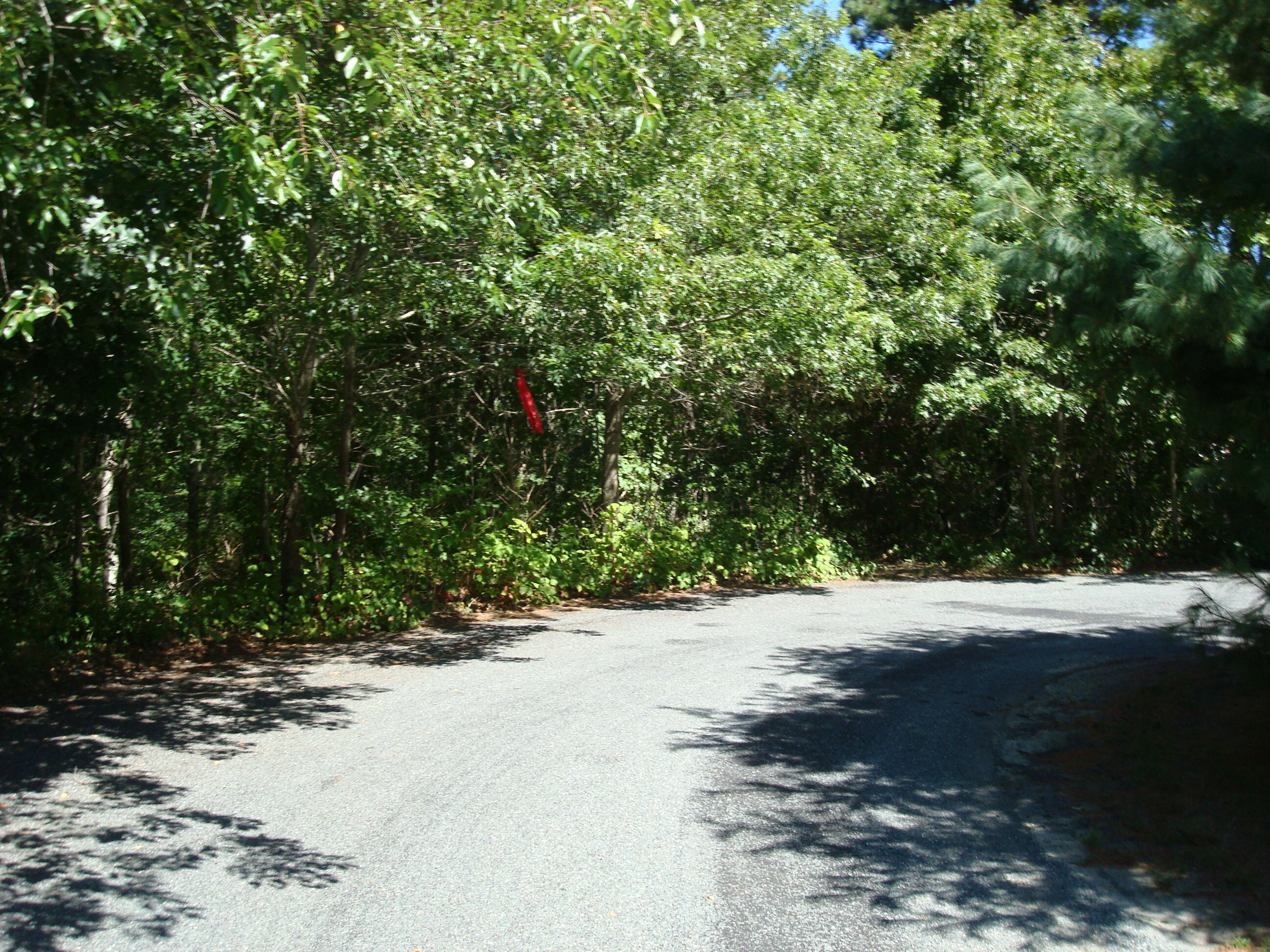 MLS #22504157 image #4