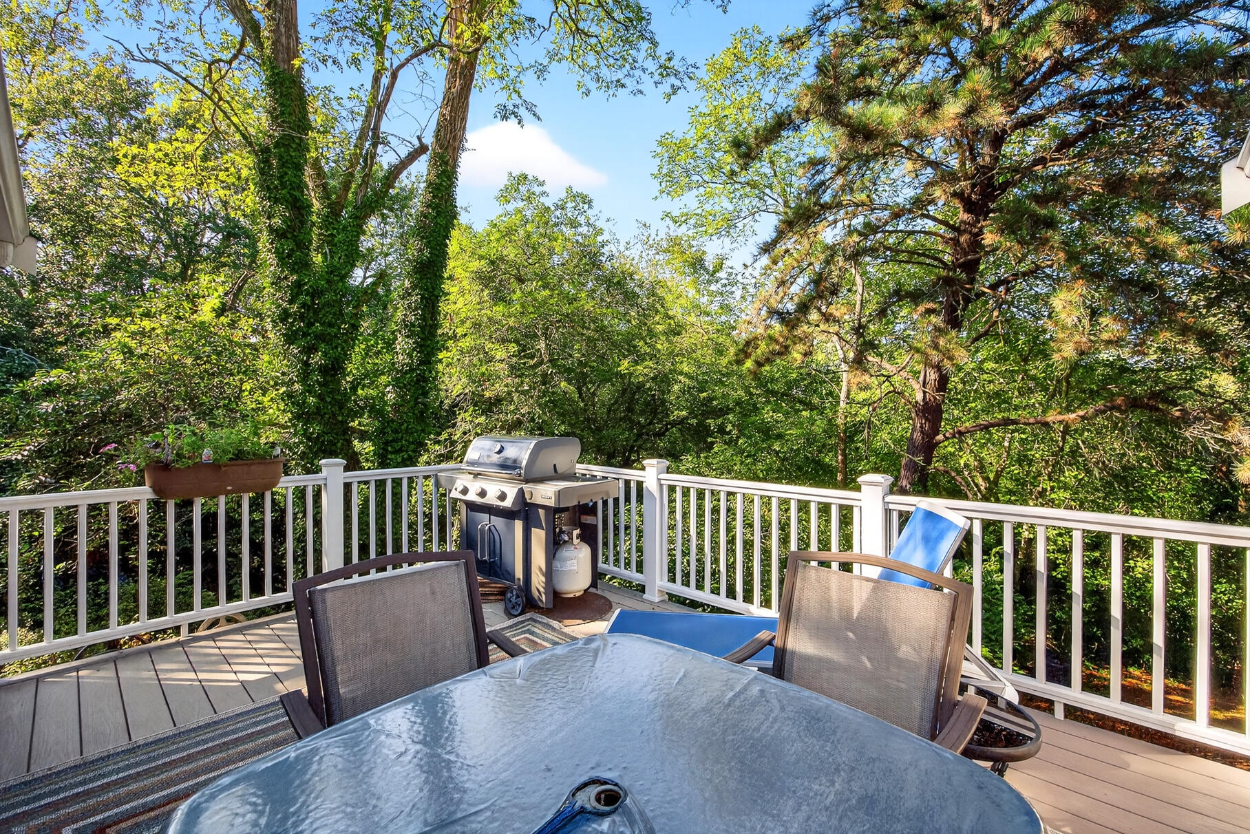 MLS #22504317 image #16