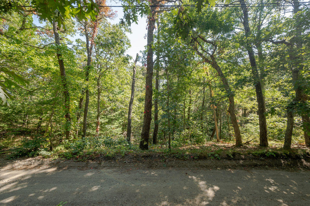 MLS #22504633 image #6