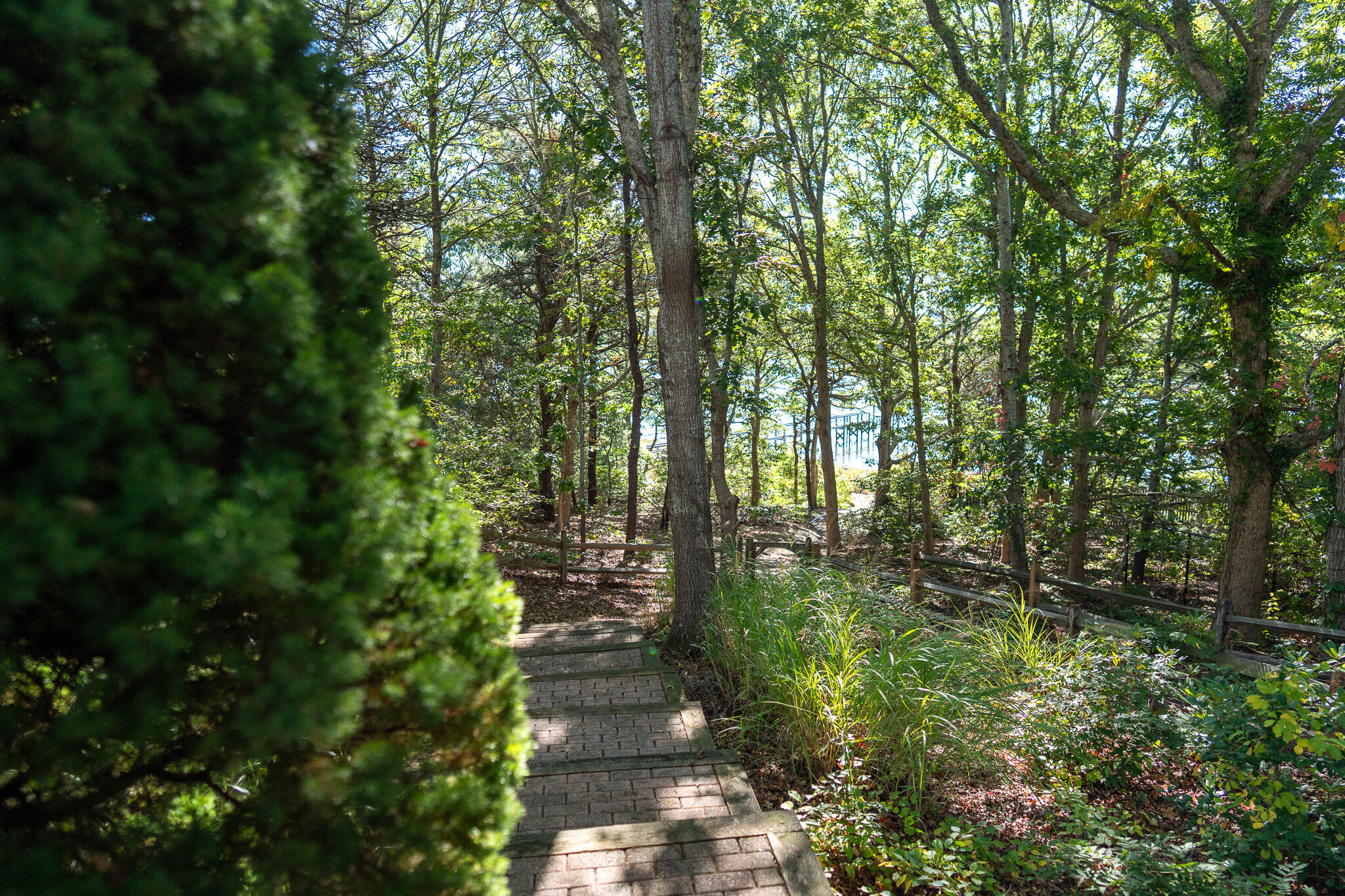 MLS #22505173 image #41