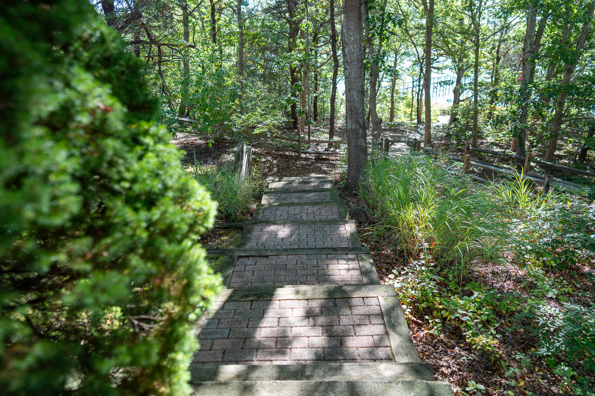 MLS #22505173 image #42