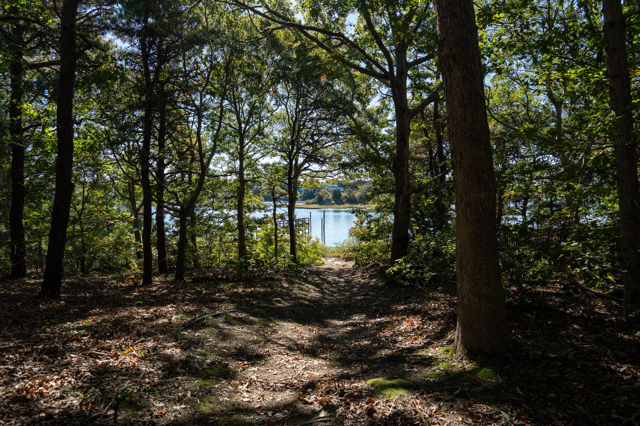 MLS #22505173 image #44