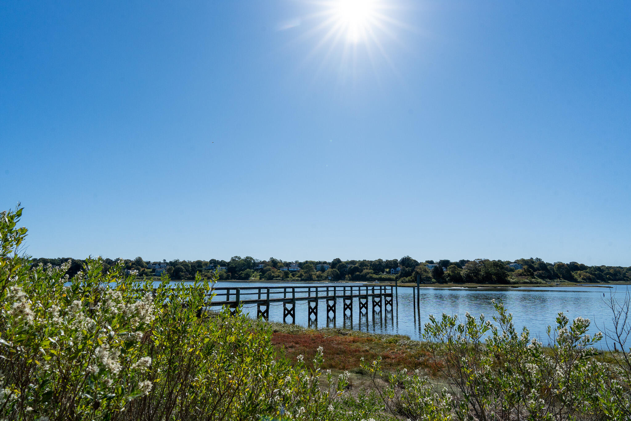 MLS #22505173 image #45