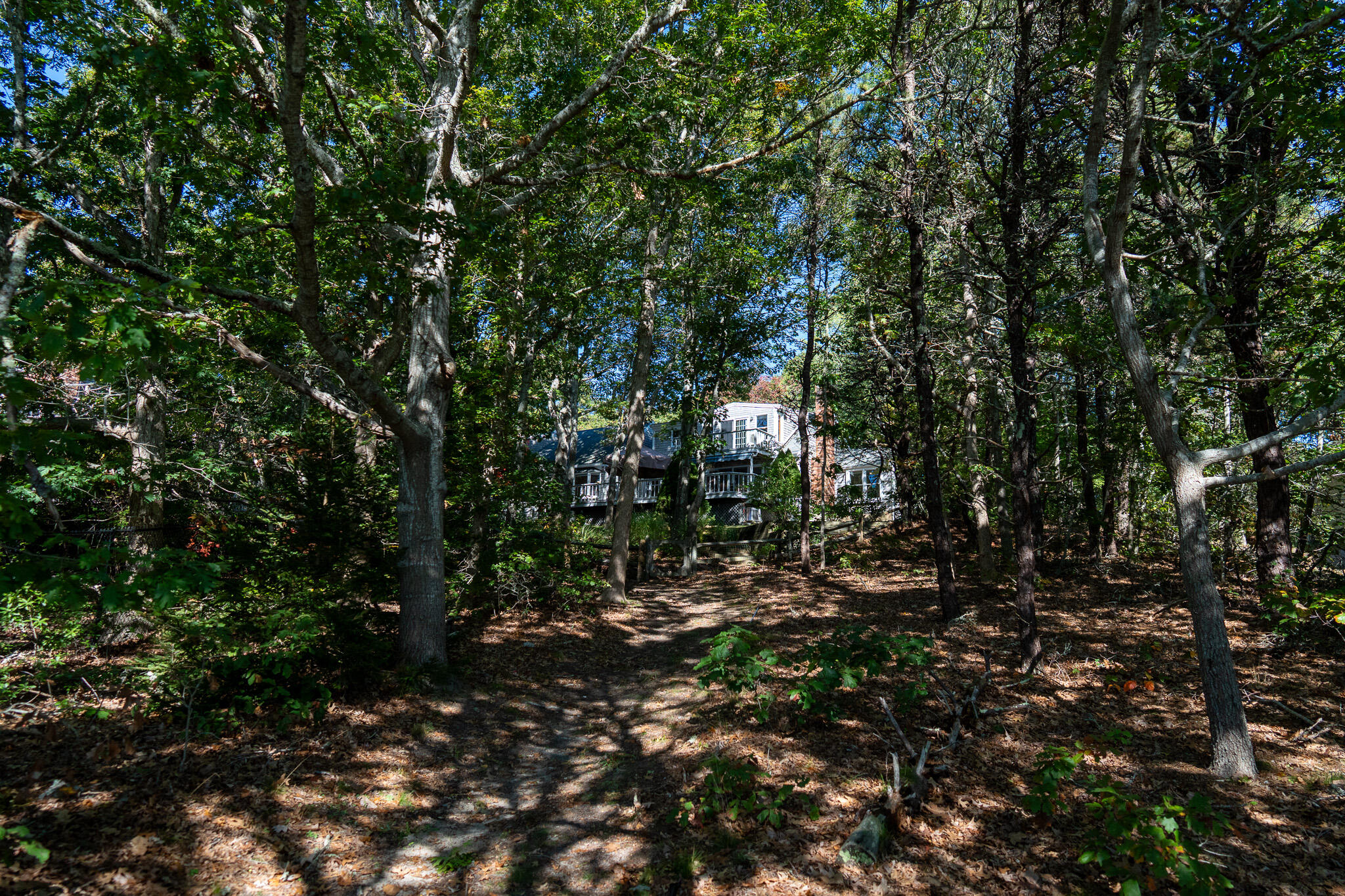 MLS #22505173 image #47