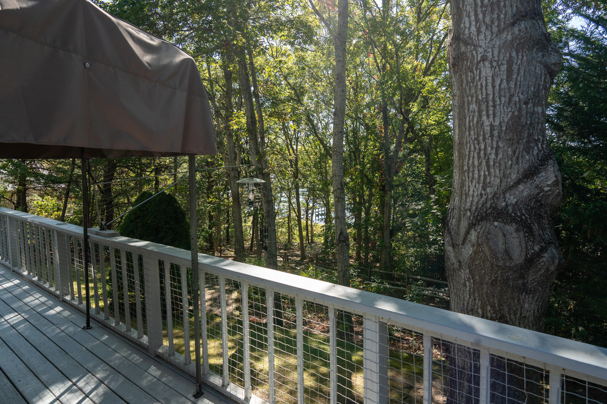 MLS #22505173 image #51