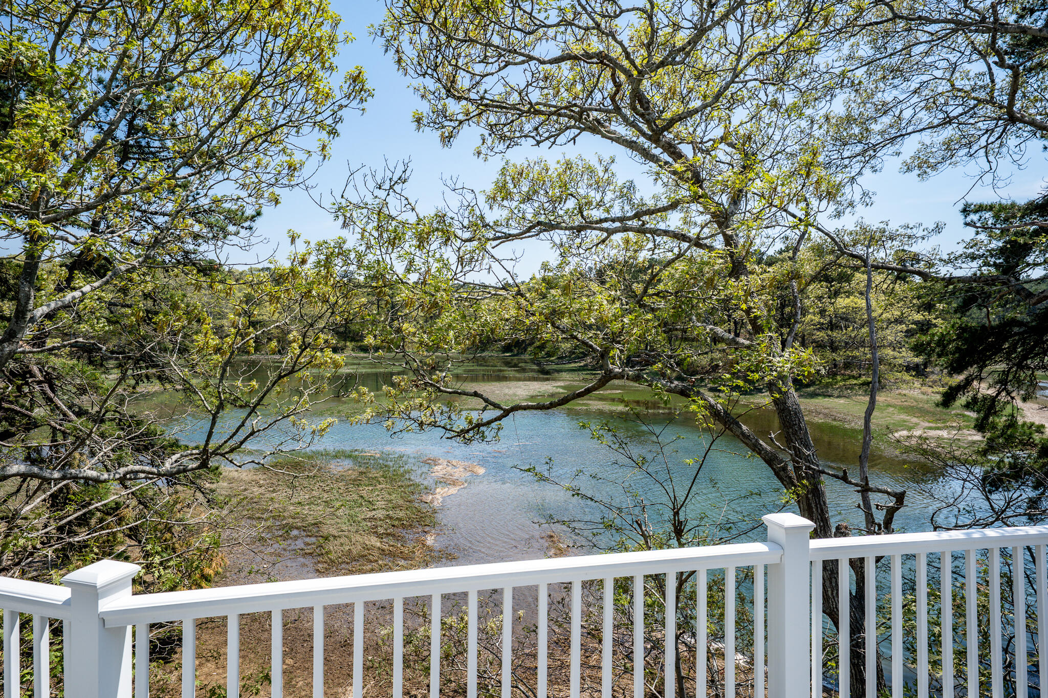MLS #22602264 image #4