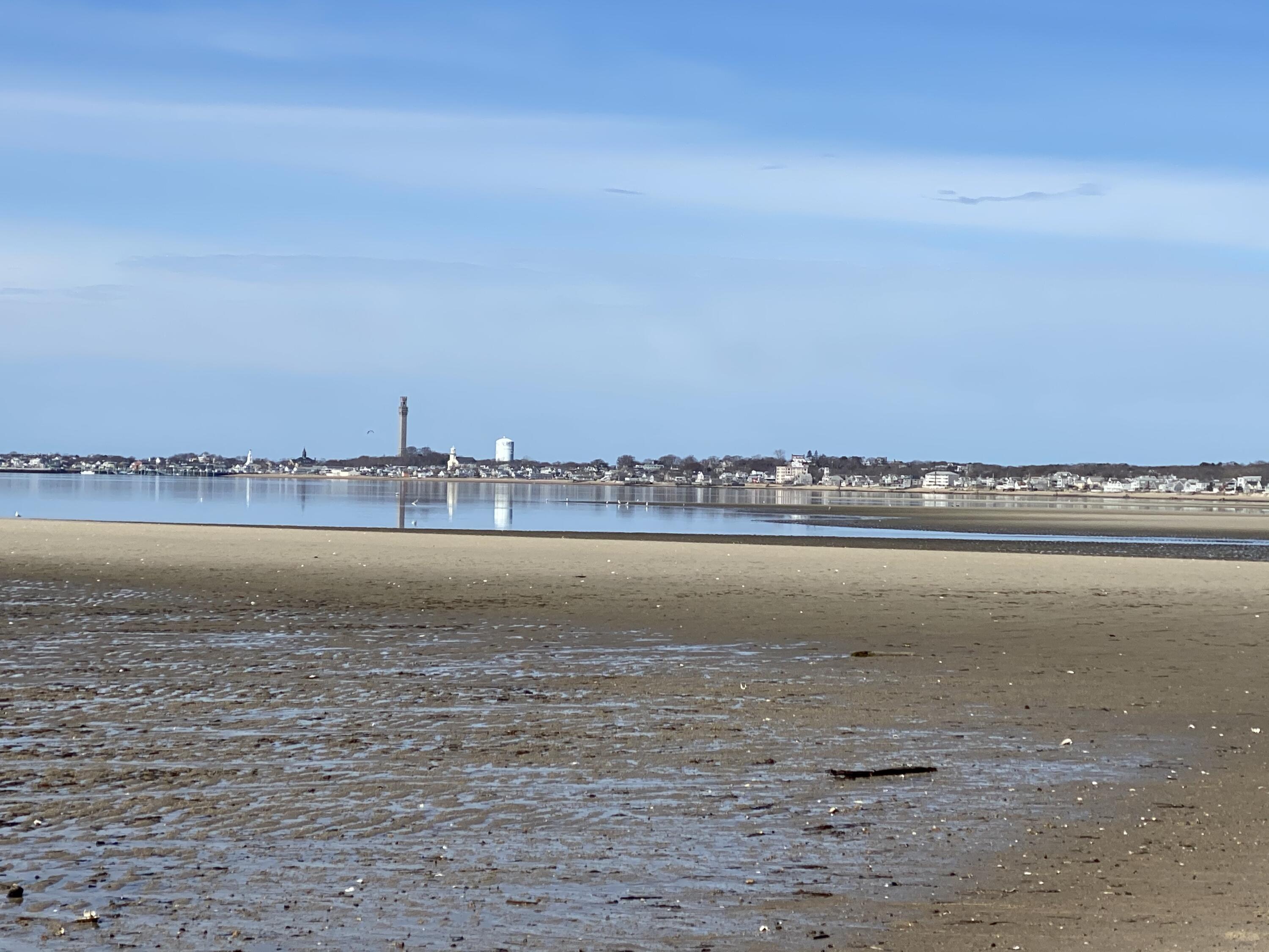 MLS #22602546 image #8