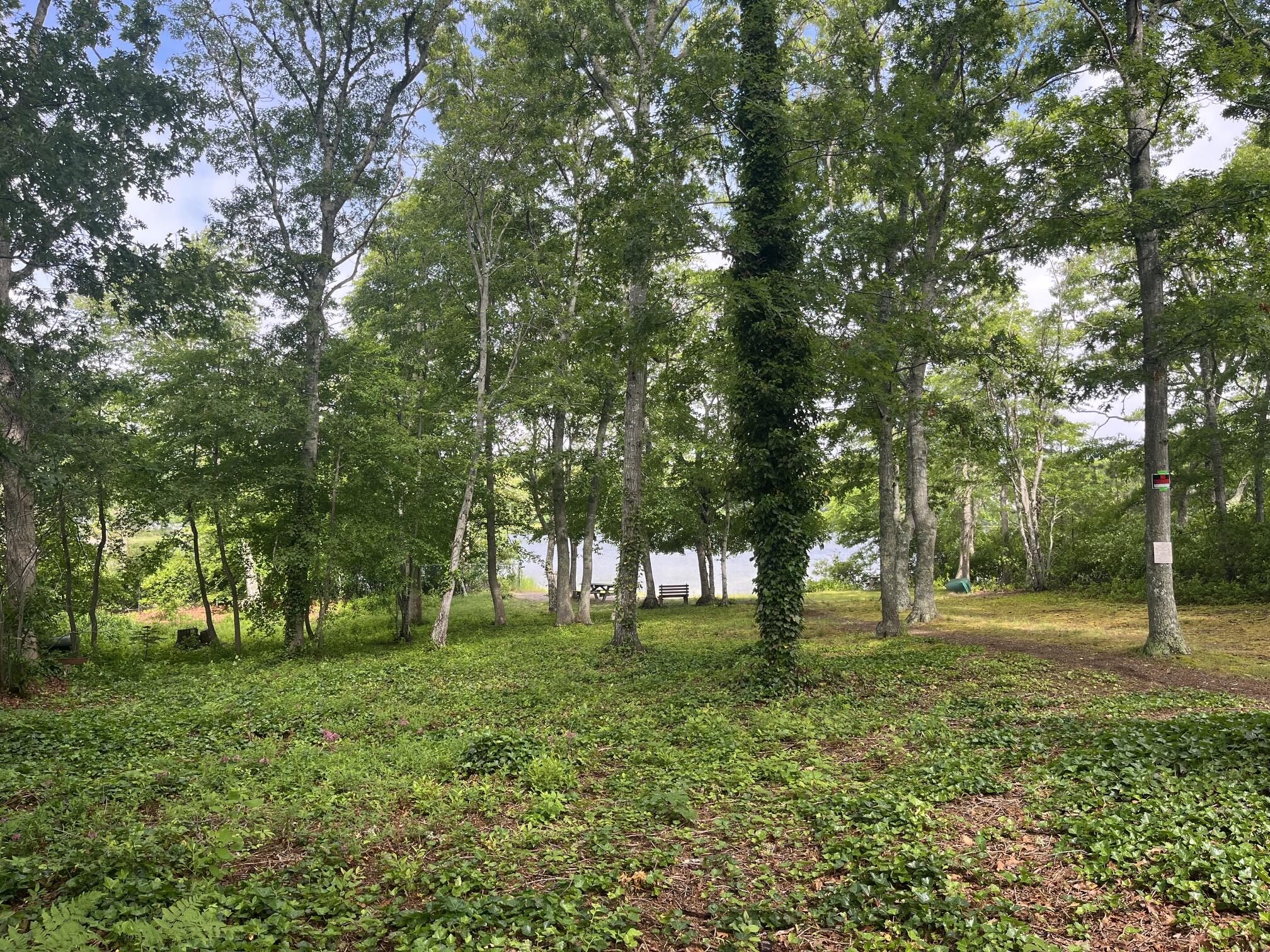MLS #22602874 image #6