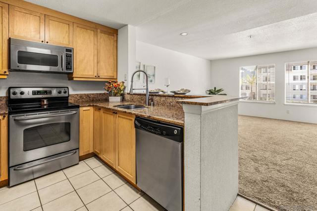 MLS #260020388SD image #0