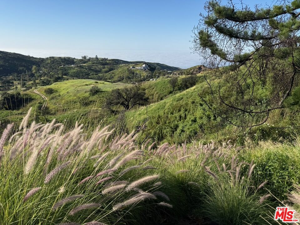 MLS #26646767 image #22