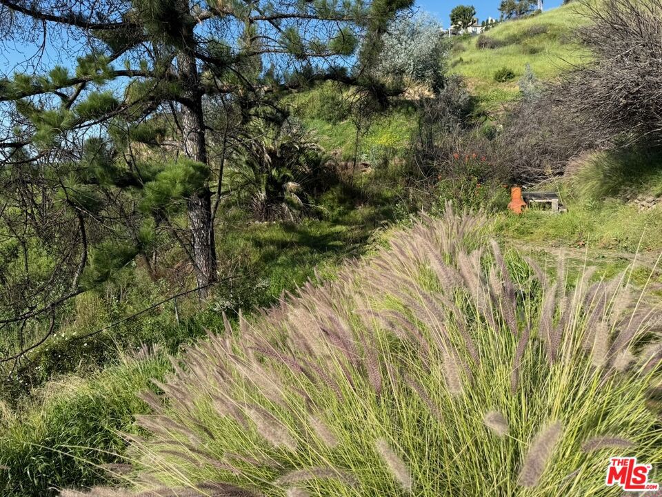 MLS #26646767 image #24