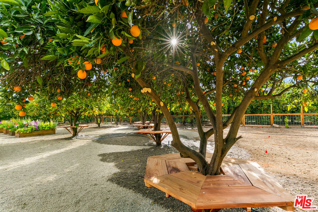 MLS #26652045 image #14