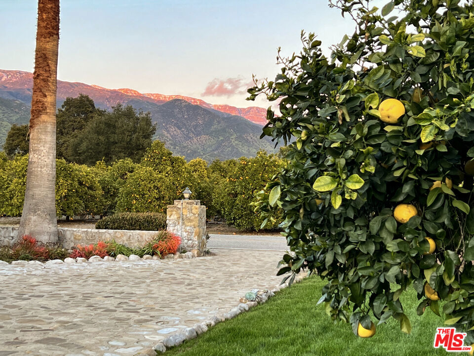 MLS #26652045 image #35