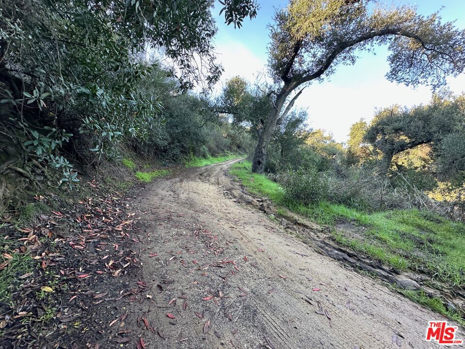 MLS #26662525 image #10