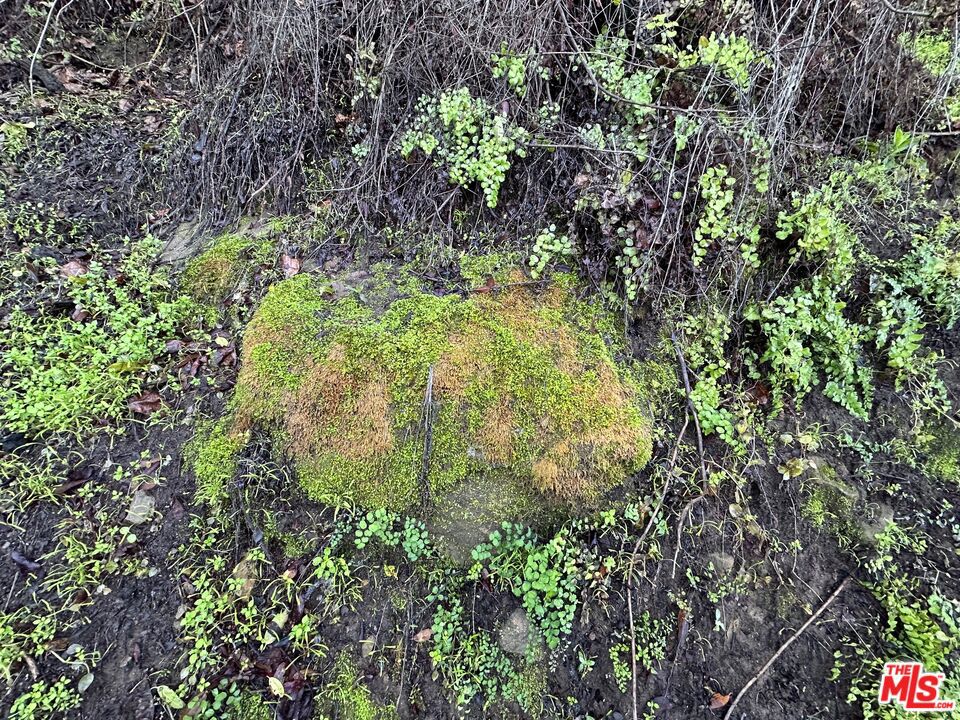 MLS #26662525 image #9