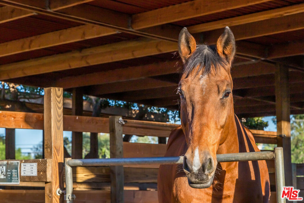 MLS #26663703 image #47